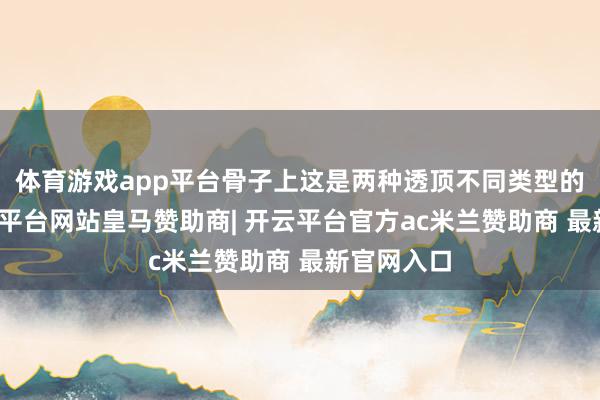 体育游戏app平台骨子上这是两种透顶不同类型的火器-开云平台网站皇马赞助商| 开云平台官方ac米兰赞助商 最新官网入口