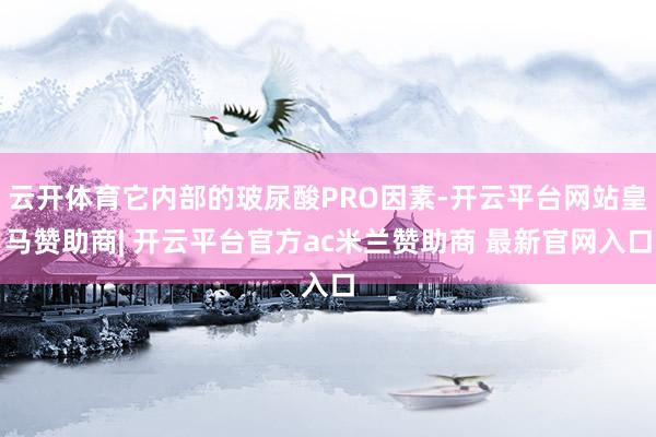 云开体育它内部的玻尿酸PRO因素-开云平台网站皇马赞助商| 开云平台官方ac米兰赞助商 最新官网入口